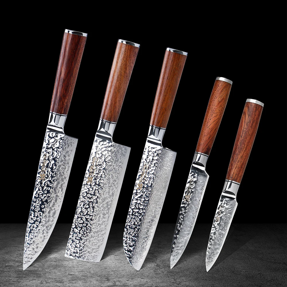 

BIGSUNNY Set of 5 Kitchen Knife 67 Layers Damascus Steel with Rosewood Handle-Chef Santoku Nakiri Utility Paring Knife
