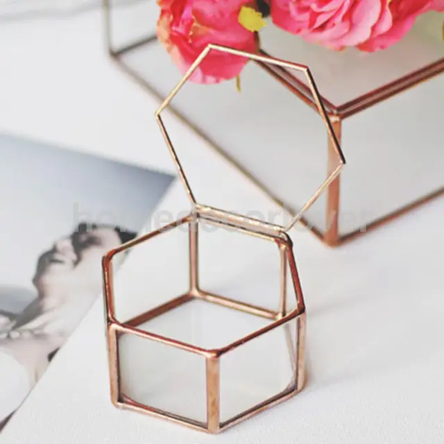 Mini Hexagonal Clear Glass Jewelry Box Tabletop Succulent Plants Planter