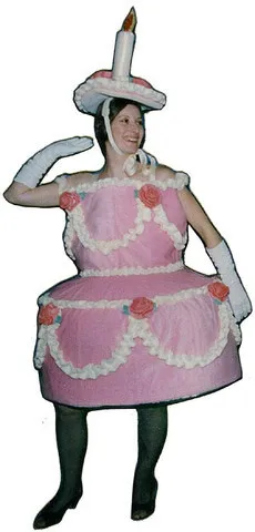 mascot Pink Birthday  Cake Mascot Costume  Adult  size 