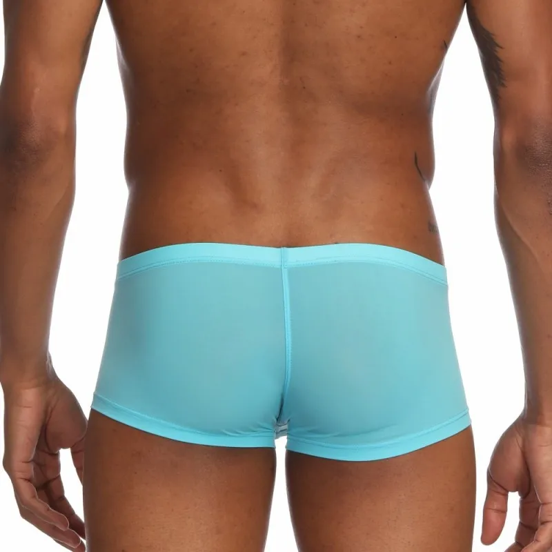 Pinky Senson Summer Ice Silk Men Underwear Seamless Transparent Boxer Short Ultra Thin Sheer Breathable Pantie Underpant