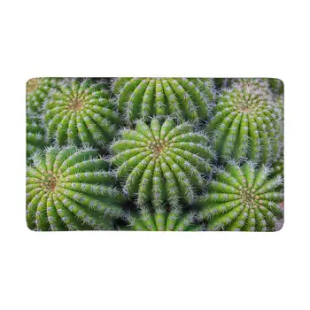 

Cactus Plant Indoor Entrance Rug Floor Mats Shoe Scraper Doormat