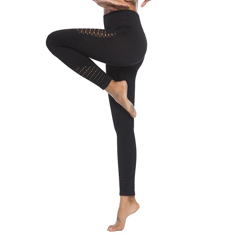 9053794647_2033343064