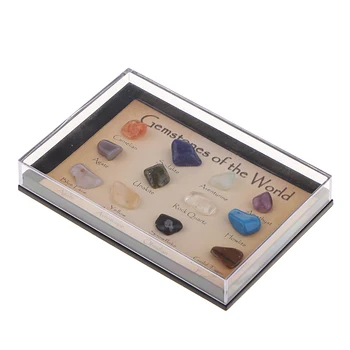 

15 Pieces Gemstones of the World Minerals Specimen Home Decor Children's Gift