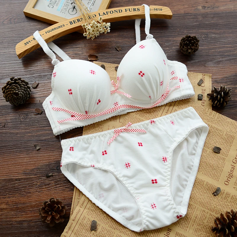 Hot sale 4 colors cotton modal brassiere and panties for young girls