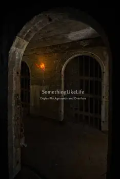 

dungeon prison wall medieval castle photo studio background High quality Computer print party backdrop