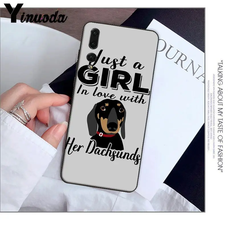Animals Dogs Dachshund 