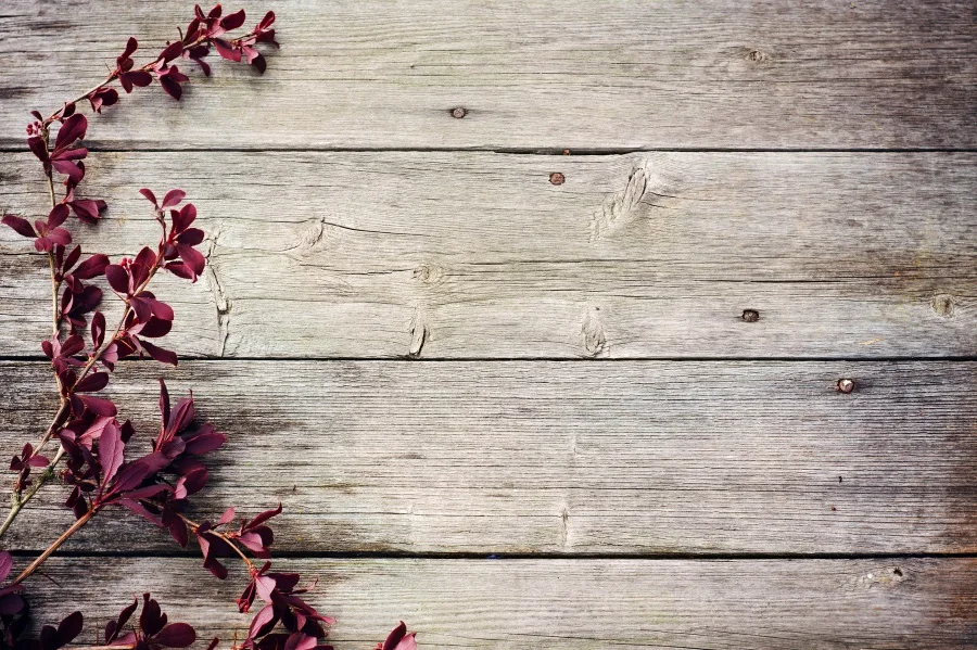 

Laeacco Photography Backdrops Wooden Boards Planks Texture Plant Child Portrait Photographic Backgrounds Photocall Photo Studio