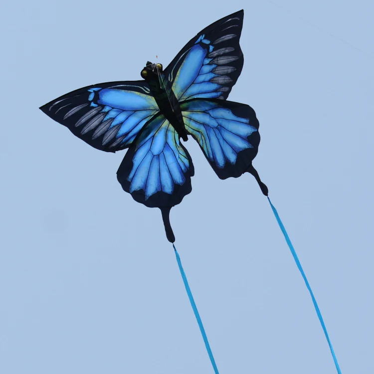 Beautiful Blue Butterfly Kites Easy to... Details about   Huge Kite for Kids and Adults 