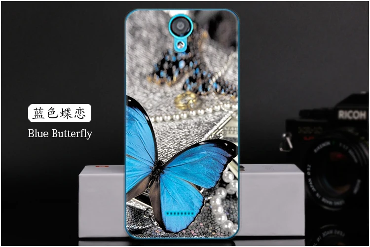  Blue Butterfly