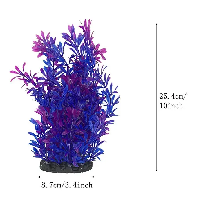 71sbod-UXHL._SX679_