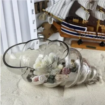 

Creative Glass Transparent Conch Vase Table Vase Air Plant Terrarium Glass Container Vase Wedding Decoratives Table FlowerPot