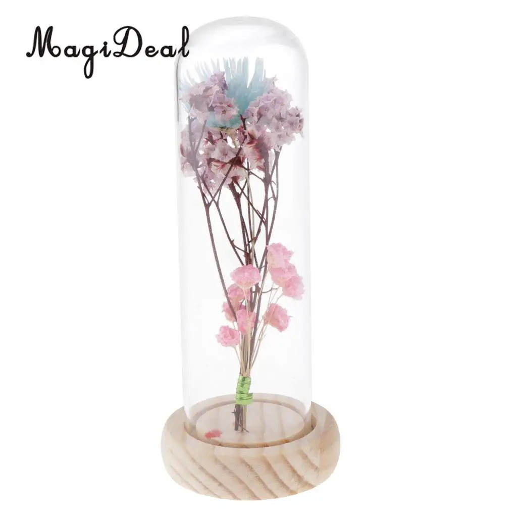 Clear Glass Display Cloche Bell Jar Dried Immortal Flower Preservation Vase Wooden Base Cafe Bar Countertop Decor Ornament