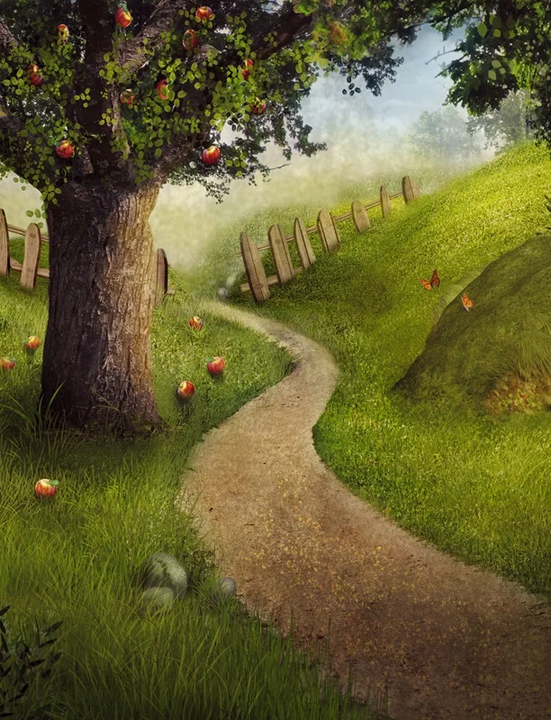 Buy Apple Tree Forest Photography Background Computer