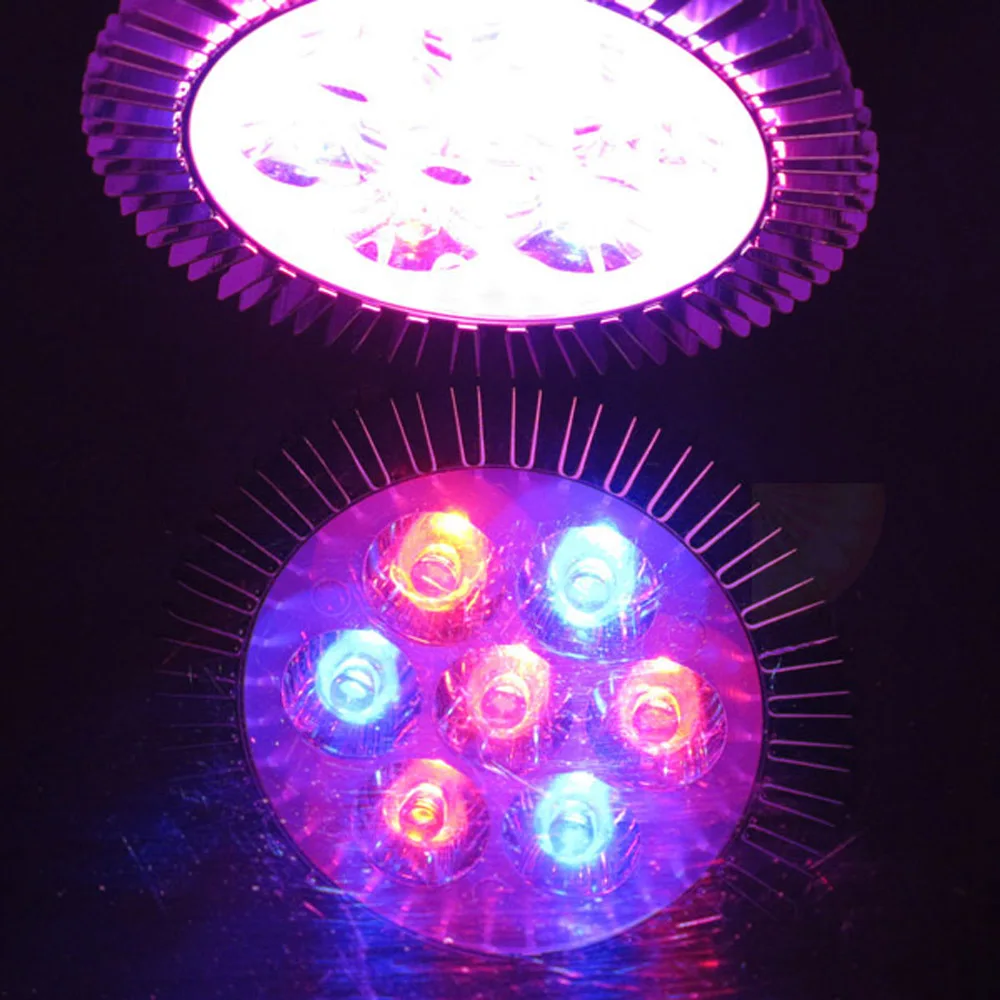 0264-5