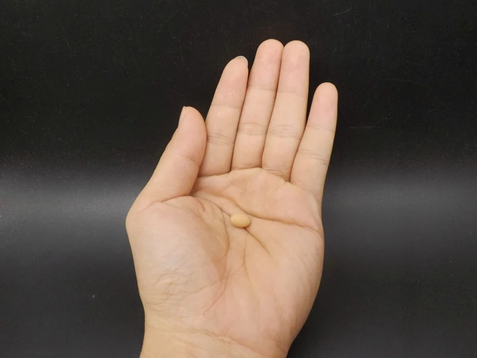 Tiny-A025Egg (5)