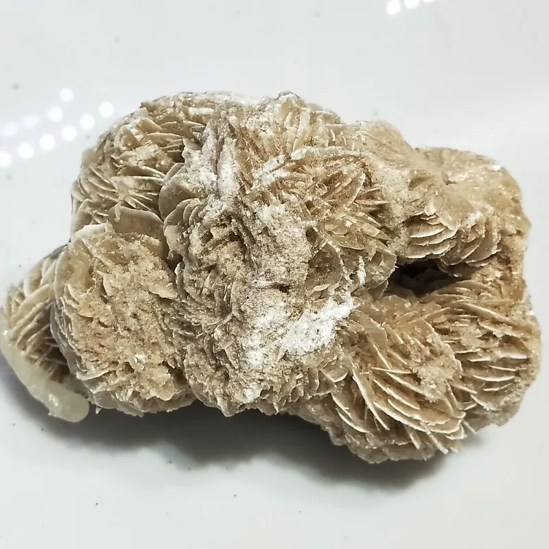 conew_img20190324152344