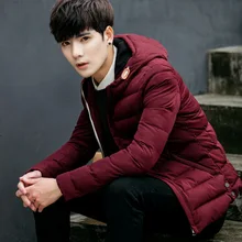 HoodieStand мужские зимние короткие куртки и пальто тонкие карманы теплые парки корейский стиль Толстая мужская одежда