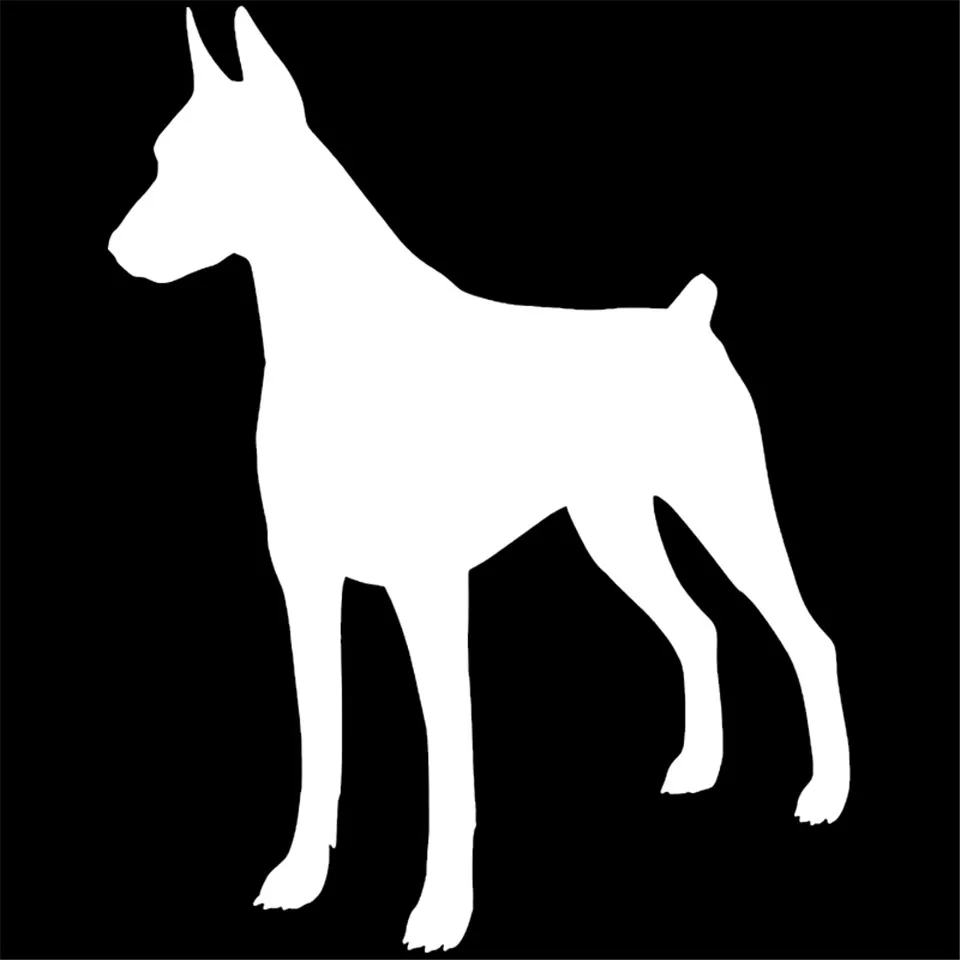 11.915.2CM Doberman Pinscher Dog Window Decoration Vinyl Decal Car Bumper Stickers BlackSilverLaser (3)