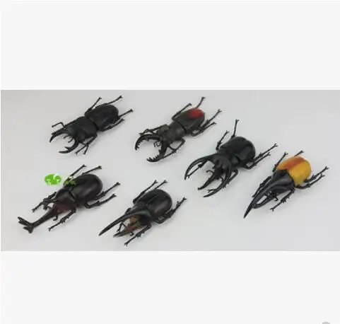 Большая пластиковая модель жука детские игрушки раннего возраста|toy model|plastic