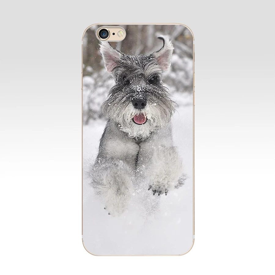 85 ZX миниатюрный Schnauzer чехлы для телефонов Iphone 7 6 6S 8 Plus чехол чехлы|Бамперы| |