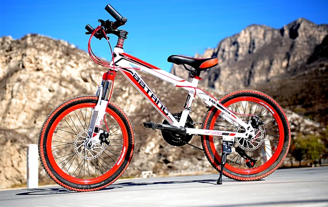 Cheap High Quality Export Youth 21 speed MTB Bike Double Disc Brake Street Mountain Bike Cycling child's bicycle  20 Inch