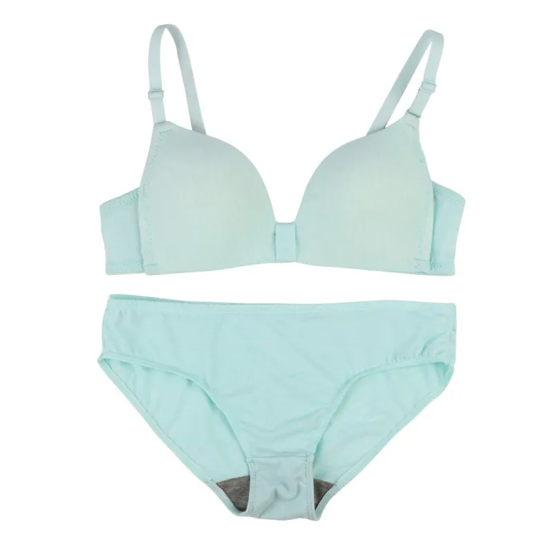Sexy Elegant Bra and Panty Set Women Bras Underwear Lady push up bra Wire Free Lingeries bra sets brief set lingerie set Sexy Elegant Bra and Panty Set Women Bras Underwear Lady push up bra Wire Free Lingeries bra sets brief set lingerie set