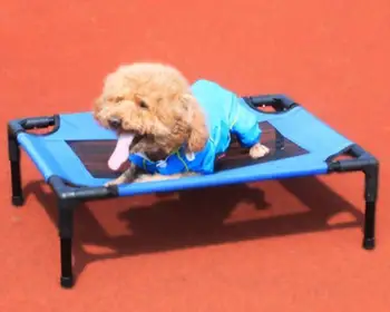

DIY Washable Pet Bed Portable Beach Dog Bed Breathable Travel Cat Bed