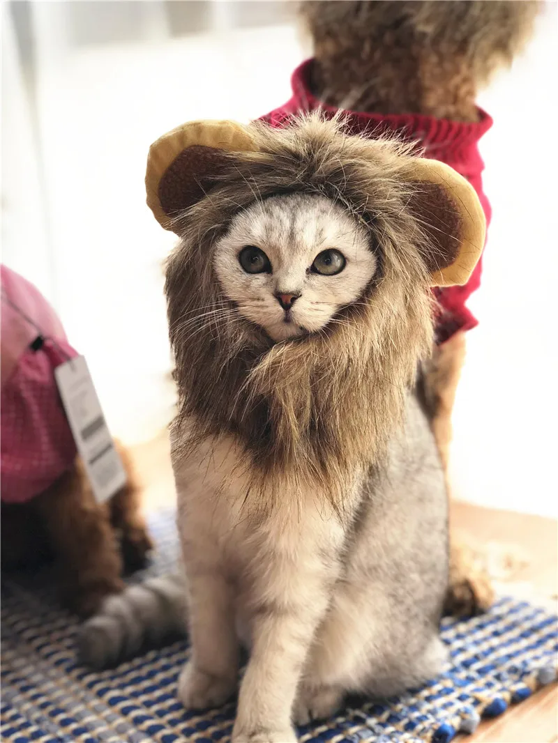 TB2ymarlCYH8KJjSspdXXcRgVXa_!!503445274