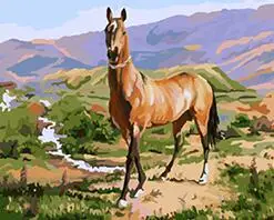 

MaHuaf-W866 smart horse in field Animal Picture Acrylic DIY Paint by Numbers on Canvas for home decor
