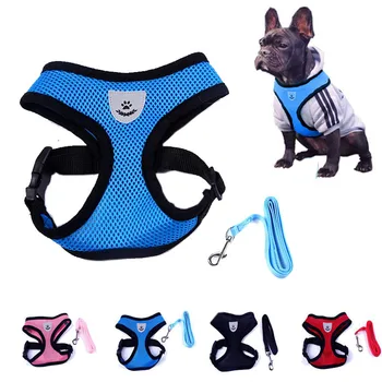 Cute Nylon Dog Harness