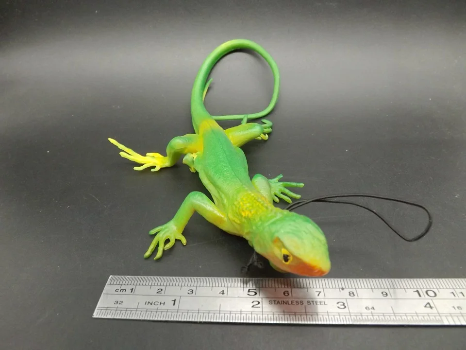 J171-Lizard (7)