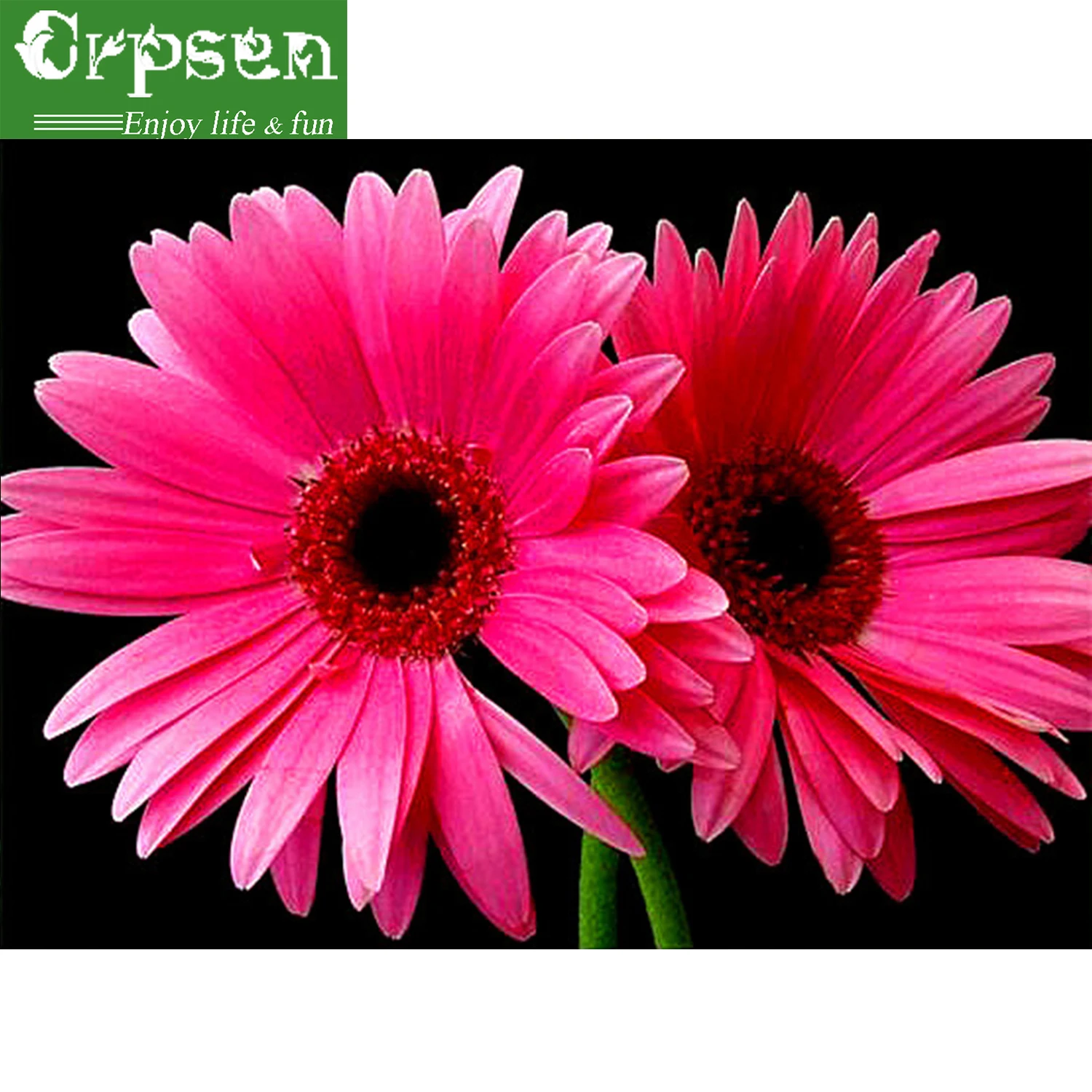 

Full 5D DIY Embroidery Diamond Painting Square Drill The Flower Needlework Decoration Crafts&Sewing Cross Stitch Crpsen