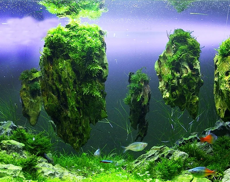 3 шт./лот Аватар плавающий настоящий скалы водяное растение для аквариума аквариум водный ландшафт мха