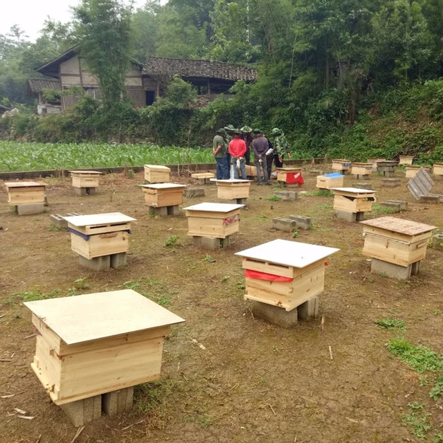 Méhészet, Méhek Sapka Szélálló Kalap Férfi Hálóháló Fej Borító Tartó Arcmaszk Ember Méhkabát - Image 5