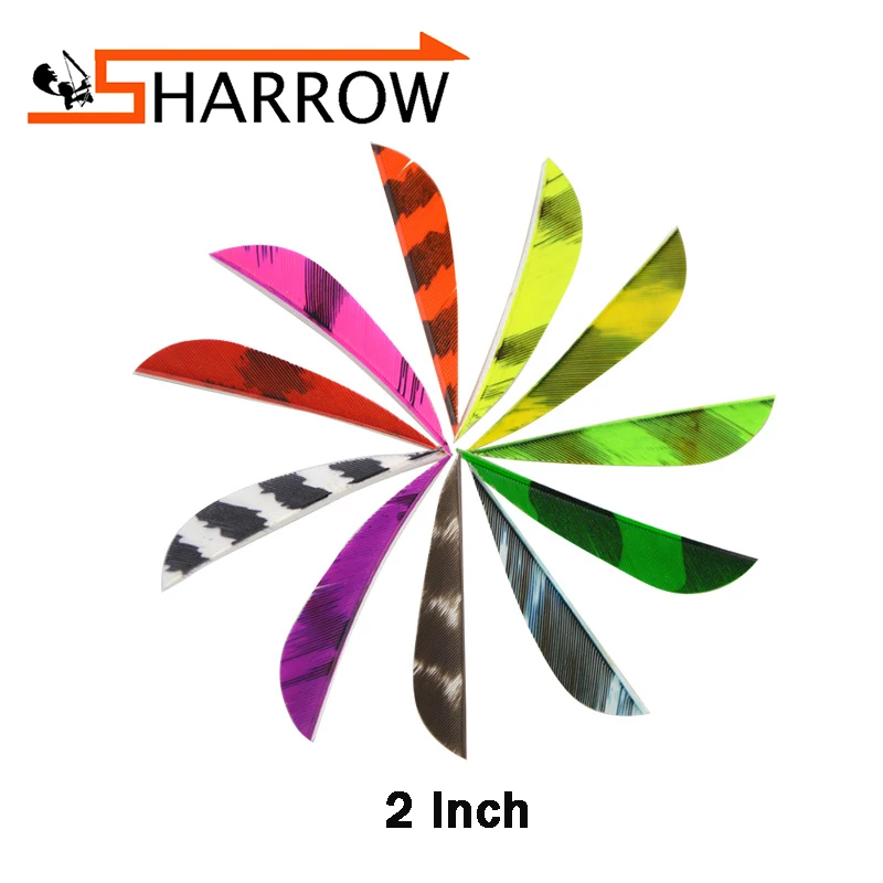 

50 Pcs Archery 2 Inch Turkey Feather Colorful Various Styles Right Wing Stripe Drop Shape For Compound Recurve Crossbow Arrow