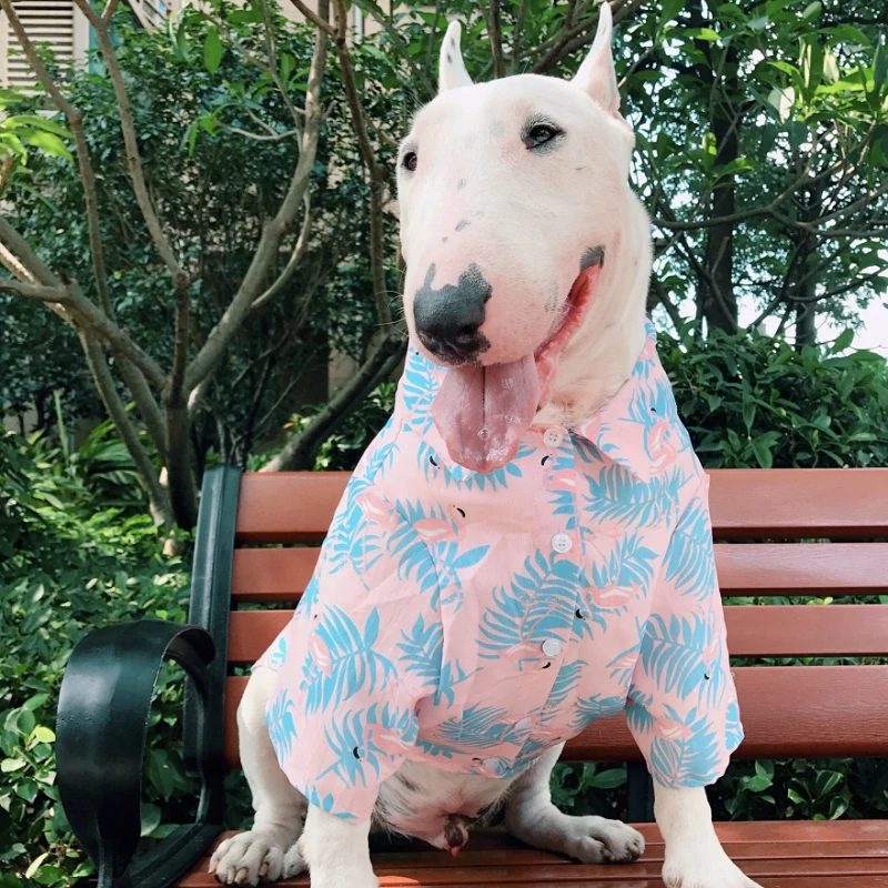 Camiseta perro ropa para Bulldog Bull terrier Corgi Shiba Inu Golden retriever ropa de ropa de Bulldog ropa de de perro| - AliExpress