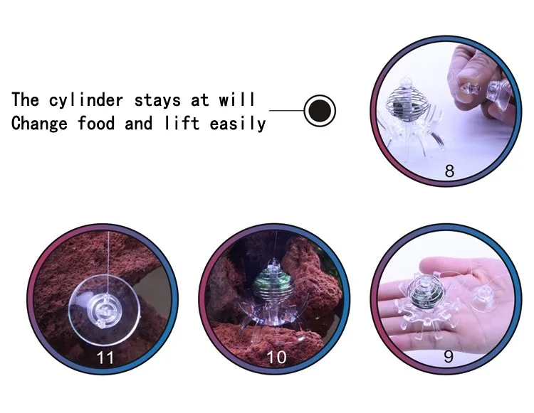 12_conew1