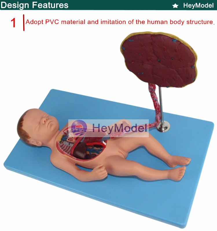 1.PVC_