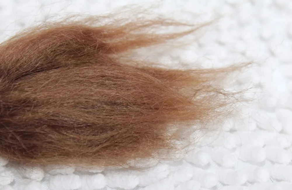 HTB1V5RkJFXXXXXFXpXXq6xXFXXXo