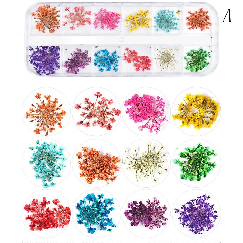 12 color nail art nature dry flowers set gel polish tip 3d diy floral 12 color nail art nature dry flowers set gel polish tip 3d diy floral