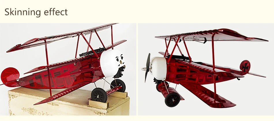 DWhobby_Fokker-DRI_0-8M_12