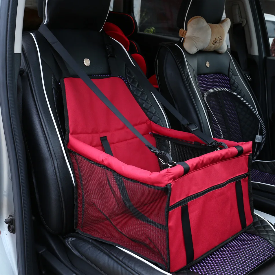 transportation of dogs