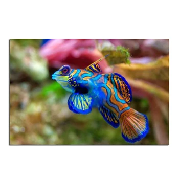 

Blue Fish 60x40cm Diamond Cross Stitch Kit DIY painting home decoration diamond embellishment of embroidery drawing crafts