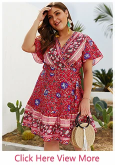 Plus Size Dress (7)