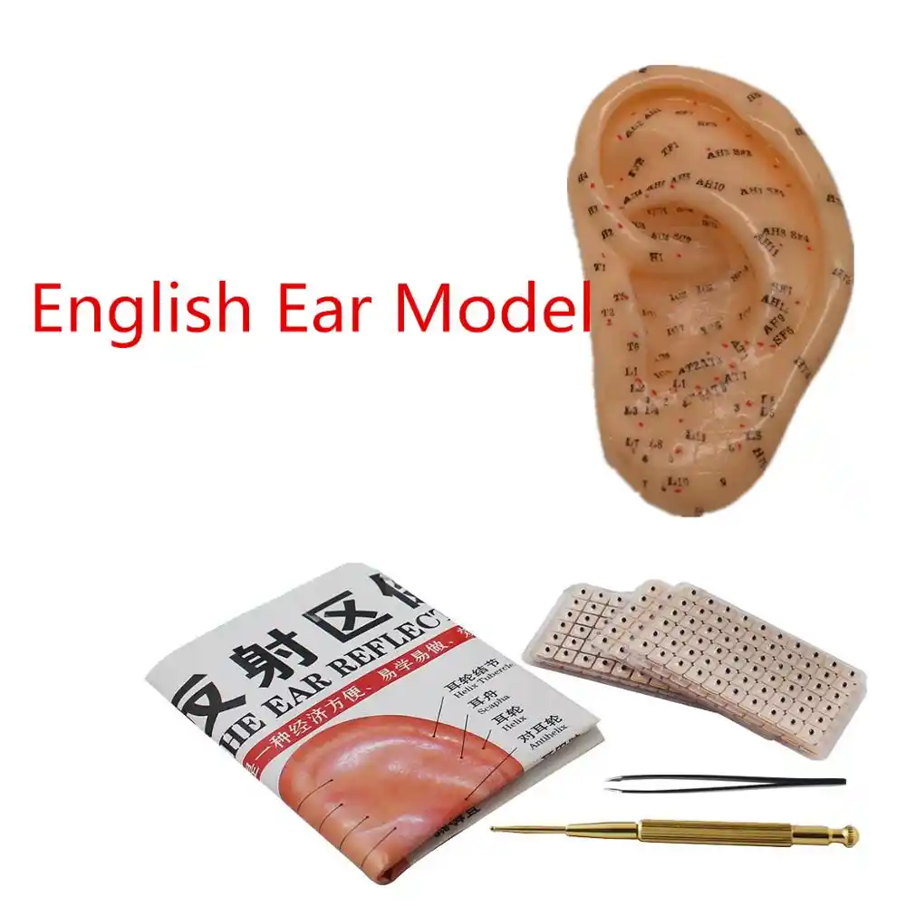 Vaccaria Semi Cornici E Articoli Da Esposizione Orecchie Adesivi Ago Di Agopuntura Auricolare Paster Presse Semi Con Inglese Modello Orecchio Agopuntura Aliexpress