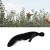 Red antiaves para prevenir aves, malla para cultivo de frutas, árbol para jardín, 1 unidad ► Foto 2/6