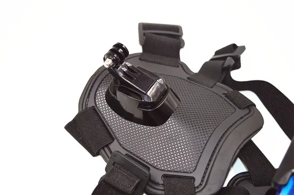GP203 base2