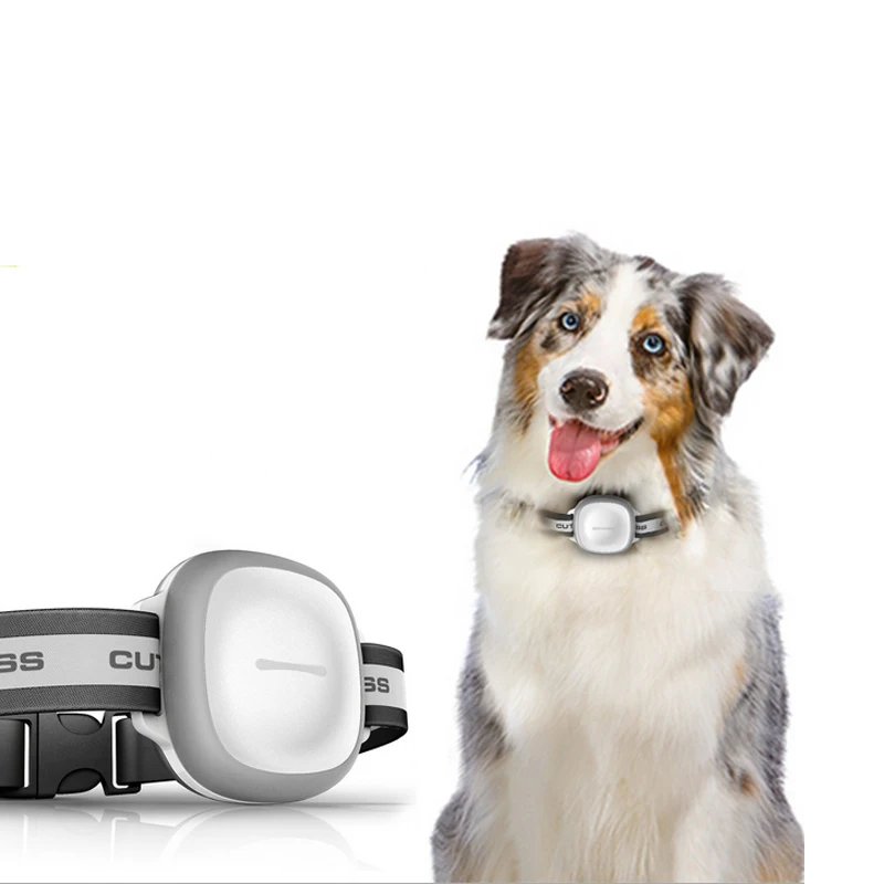 

Mini GPS Tracker With Collar Waterproof Real Time Locator Chip For Pets Dogs Cats LCC77