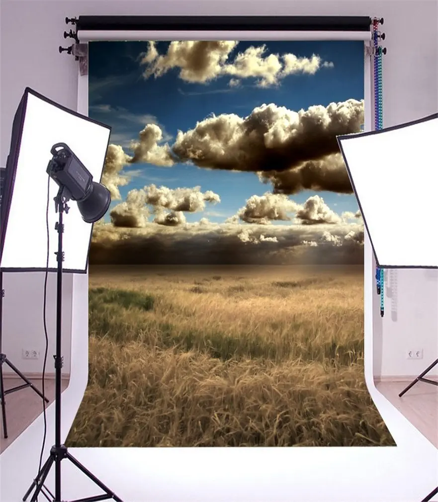 

Photography Backdrop Nature Landscape Wheat Field Blue Sky White Cloud Ric Autumn Photo Background Party