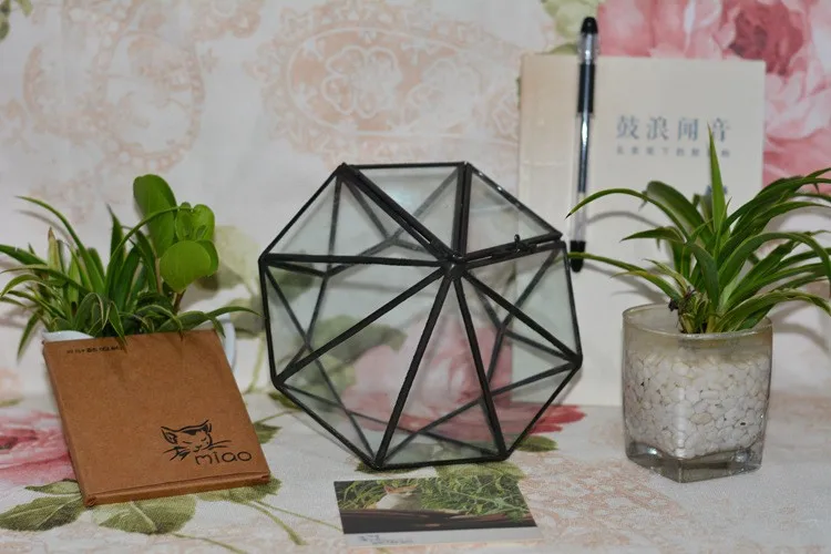 Diamond Geometric Polyhedron Glass Terrarium2